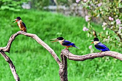 《战地6》B测正式开启无需邀请码 Steam在线峰值超47万